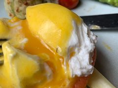 -bluefrog蓝蛙(水游城店)