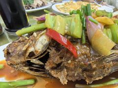 -琼海温泉鹅农家饭店