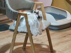 -白兔子密室(长寿路店)