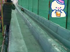 -绿野森林乐园冰雪季