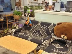 -平行世界·猫咖(首经贸店)