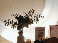-鲸落SPA(番禺长隆店)