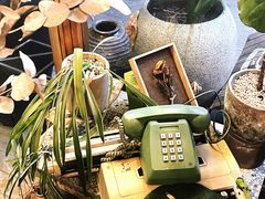 -时光花园(白鹭洲店)