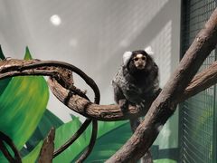 -上海大自然野生昆虫馆(东方明珠·爬宠昆虫探索中心)