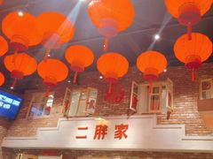 -二胖家铁锅炖大鹅(双井店)