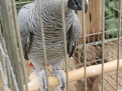 -南宫五洲植物乐园