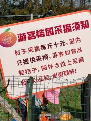 -前小桔亲子创意农场·草莓采摘·露营烧烤