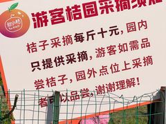 -前小桔亲子创意农场·草莓采摘·露营烧烤