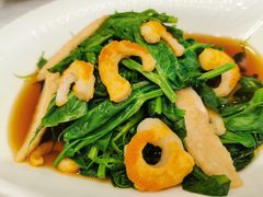 捞汁鲜虾豌豆尖-功德林素菜饭庄(前门店)