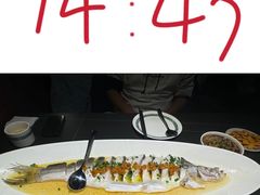 -三强鸽子(中原路店)