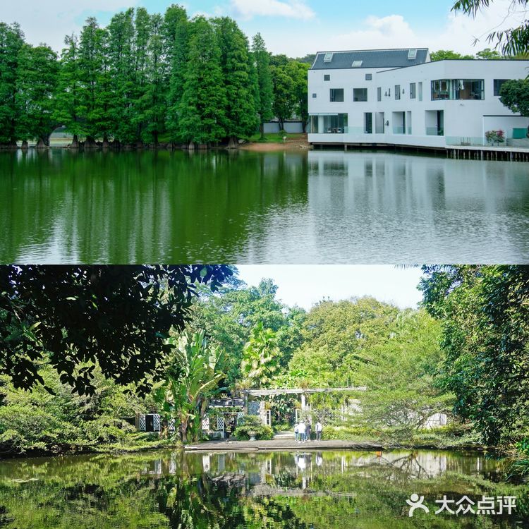 📍 华南植物园攻略｜✔️附详细路线图