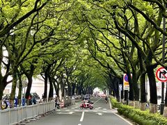 -苏州市立医院(白塔院区)