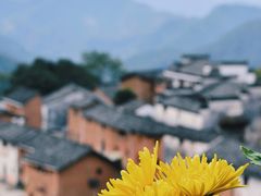 -阳产土楼