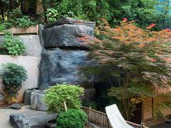 -汤家茗苑·精致私房菜(白沙店)