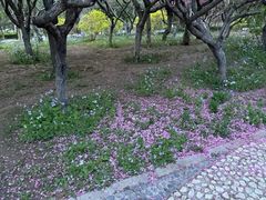 -燕郊植物园