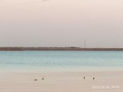 -天津东丽湖风景区