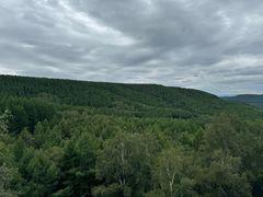 -塞罕坝国家级自然保护区