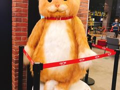 -CGV星星影城(颐堤港ScreenX店)