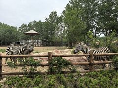 -大连森林动物园