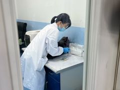 -成都民大动物医院