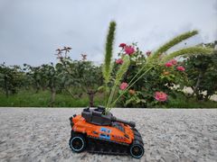-石家庄市植物园