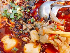 -黑竹香鸡(营和巷店)