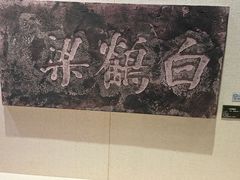-白鹤梁水下博物馆