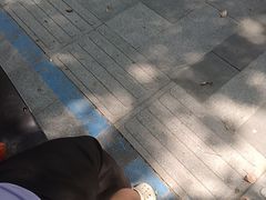 -海底捞火锅(凤凰广场店)