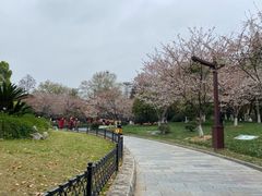 -堤角公园