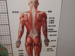 -Ms.Pilates 普拉提技术(尚悦湾陆家嘴店)