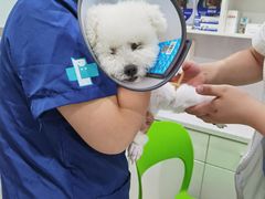 -佳雯宠物医院(金华南路分院)