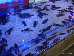 -十六蒲(桂林路店)