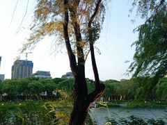 -金鸡湖景区
