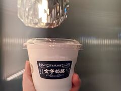 -文宇奶酪店(南锣鼓巷店)