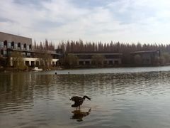 -上海怡沁园度假酒店