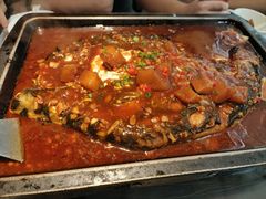 -炉鱼(亲橙里店)