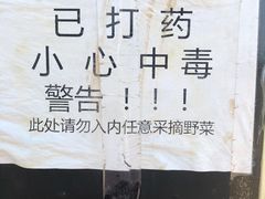 -汉长安城未央宫国家考古遗址公园
