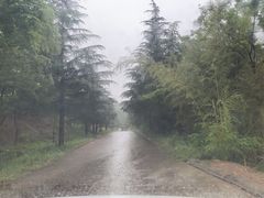 -沂蒙山旅游区云蒙景区(蒙山国家森林公园)