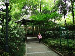 -华山儿童公园