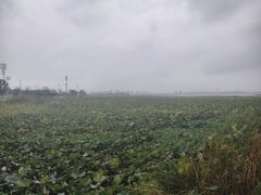 -阳澄湖半岛旅游度假区