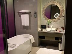 -南京禄口机场雅高铂尔曼大酒店