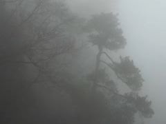 -东天目山风景区