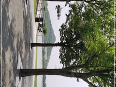 -上海月湖雕塑公园