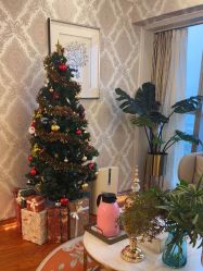 -茜尔维亚修身连锁(闵行莘庄店)