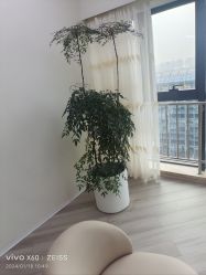 -HEYAN荷妍专业脱毛连锁机构