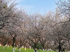 -杭州植物园