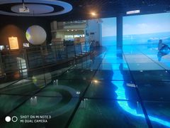 -上海长江河口科技馆