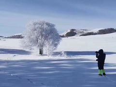 -塞罕坝国家级自然保护区