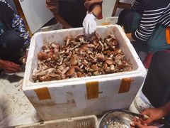 -草墩罗非鱼庄•野生菌•腊排骨(七星街上段店)