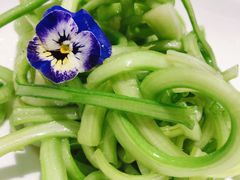 樱花鲍芹-湯記傳菜